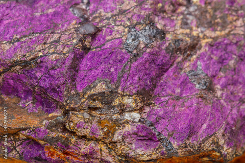 Macro mineral stone purpureus, (purple) purpurite in the breed a white background photo