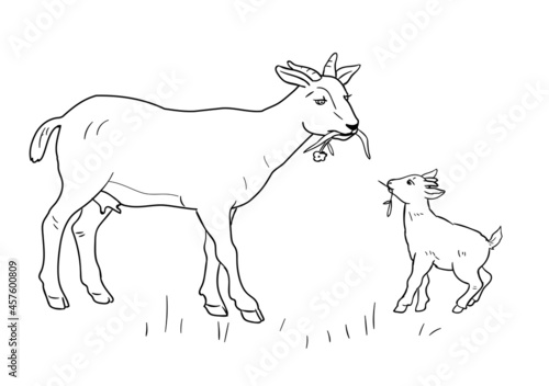 Motherhood. Mother And Child. Goats. Outline Vector Silhouette Illustration. Sketch .