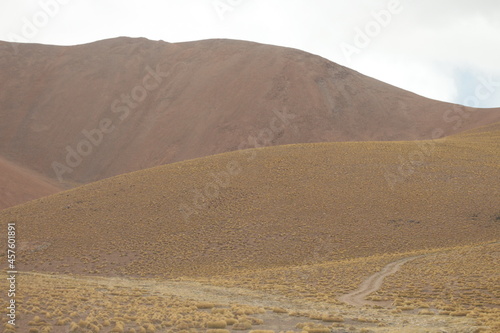 desert road in an amazing landscape