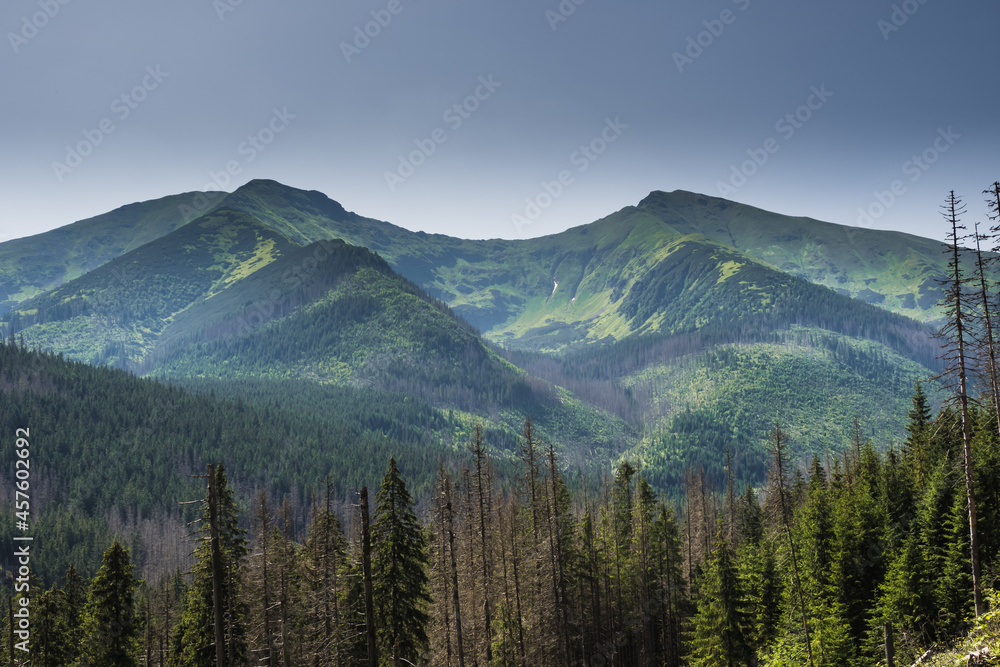 Obraz premium activity, ciemniak, europe, green, hiking, hill, view of the Red Peaks in the Tatra Mountains from the Iwanicka pass