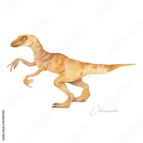 Velociraptor illustration. Watercolor prehistirical reptile isolated on white background. Dinosaur era collection © ldinka