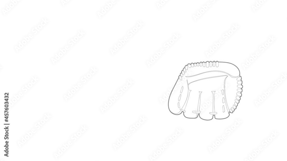 Baseball glove icon animation best outline object on white background Baseball glove icon animation best outline object on white background