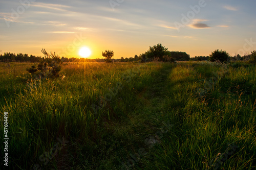 bright summer sunrise in the field © Igor