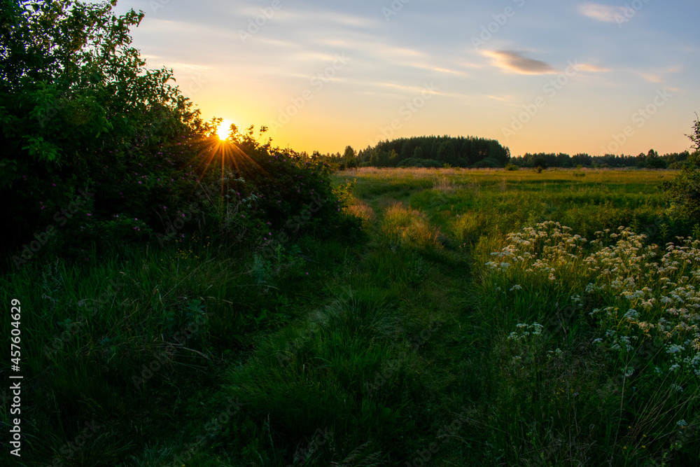 bright summer sunrise in the field bright summer sunrise in the field