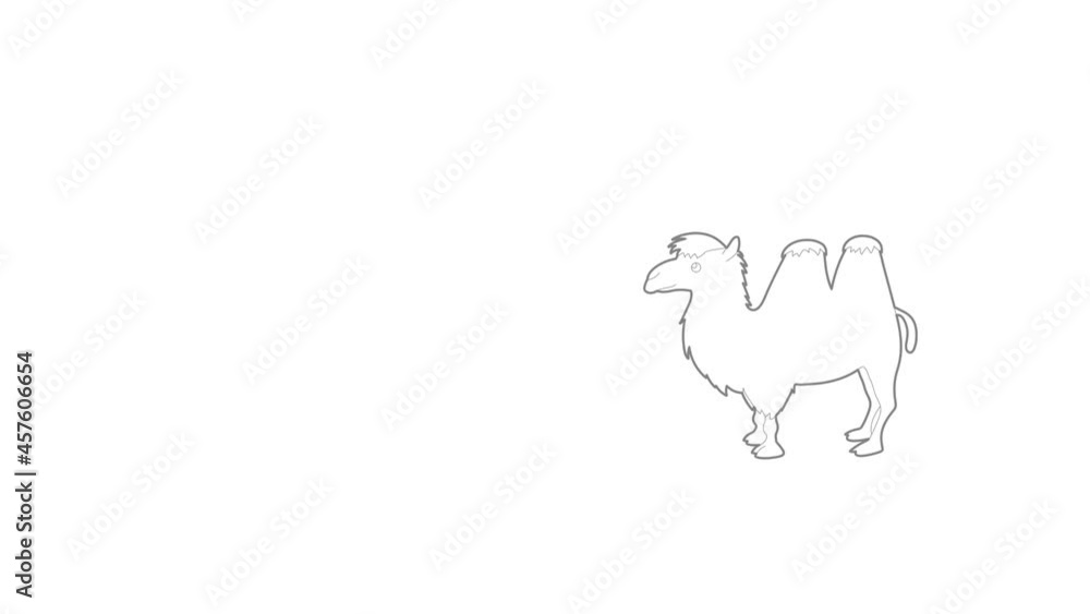 Camel icon animation best outline object on white background Camel icon animation best outline object on white background