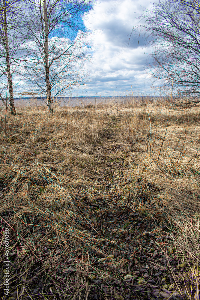 Fototapeta premium the summer beautiful volga riverside