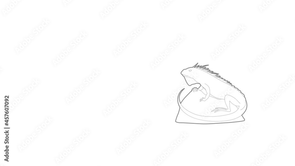 Varan icon animation best outline object on white background Varan icon animation best outline object on white background