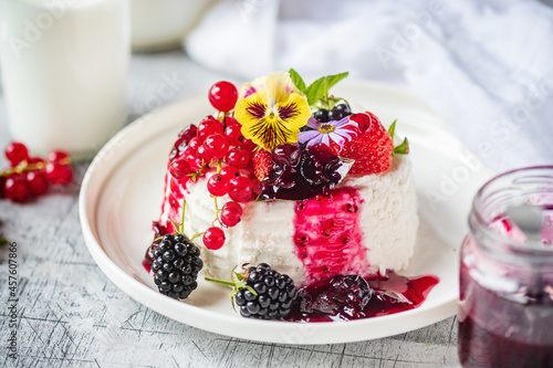 Vegan country cheese dessert with yogurt, berries and red currants.