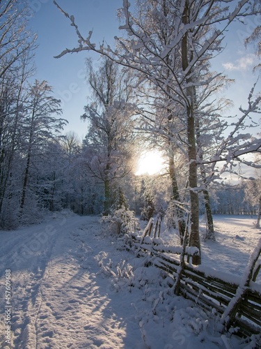 Winter landscape in the sunset.