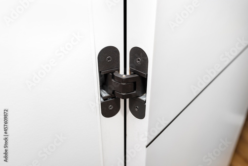 Modern white door with solid black hinges, visible fixing screws.