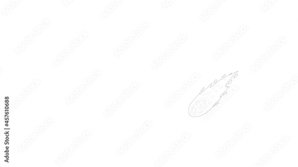 Falling meteorite icon animation best outline object on white background Falling meteorite icon animation best outline object on white background