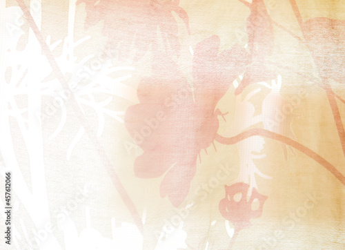 Window curtain background , in room  Chiangmai Thailand.