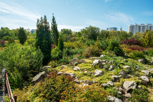 rock garden  in Botanical garden of Samara.  Amazing summer in Povolzye  Russia. 
