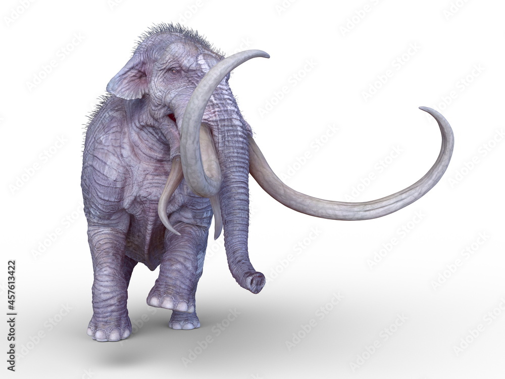Obraz premium マンモス