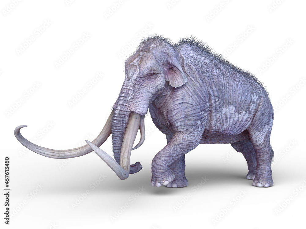 Obraz premium マンモス