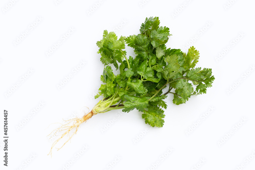 Fresh coriander leaves on white background. Fresh coriander leaves on white background.
