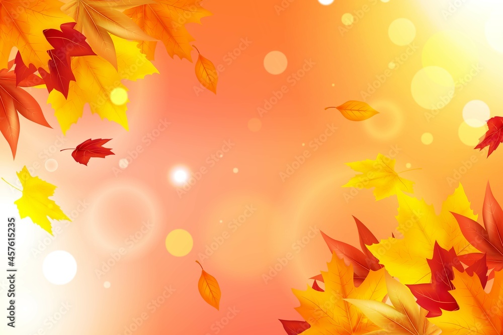 realistic autumn background vector design illustration