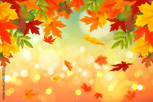 realistic autumn background vector design illustration