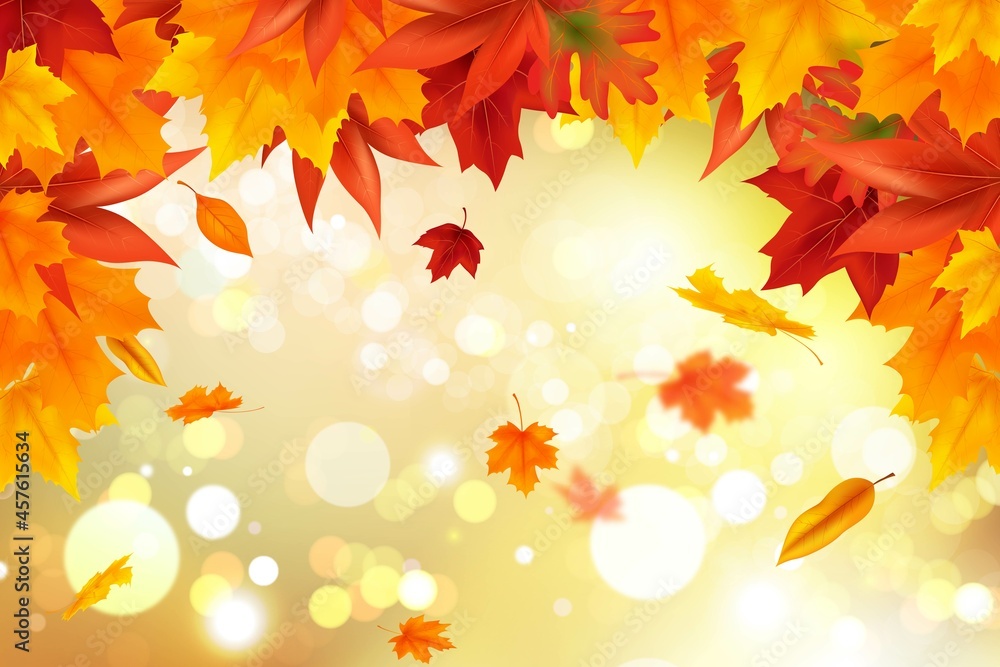 realistic autumn background vector design illustration