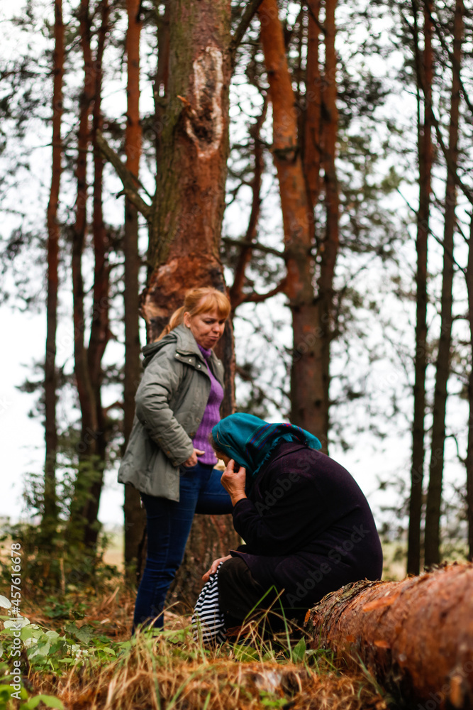 Defocus side view of two woman walking in pine forest and seating on log trunk. Leisure and people concept, mother and daughter in fall forest. People lost. Overall Vertical. Lifestyle. Out of focus Defocus side view of two woman walking in pine forest and seating on log trunk. Leisure and people concept, mother and daughter in fall forest. People lost. Overall Vertical. Lifestyle. Out of focus