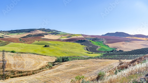Paisaje rústico típico del campo tradicional con parcelas de tierra cultivadas de distintos colores un día soleado con cielo azul.