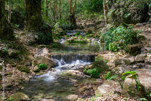 Riachuelo en uno de los bosques del estado de Querétaro. photo