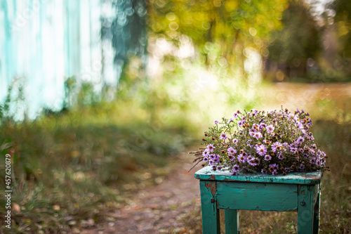 Bouquet Aster alpinus, alpine aster or blue alpine daisy Herbstgruss vom Bresserhof against the background of autumn landscape on stool on rural road photo