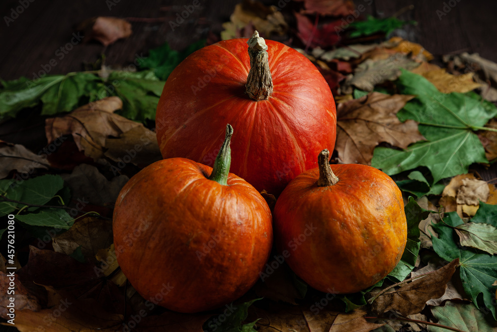 Three pumpkins on foliage in dark mood. Three pumpkins on foliage in dark mood.