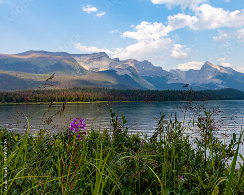 Maligne Lake Landscape