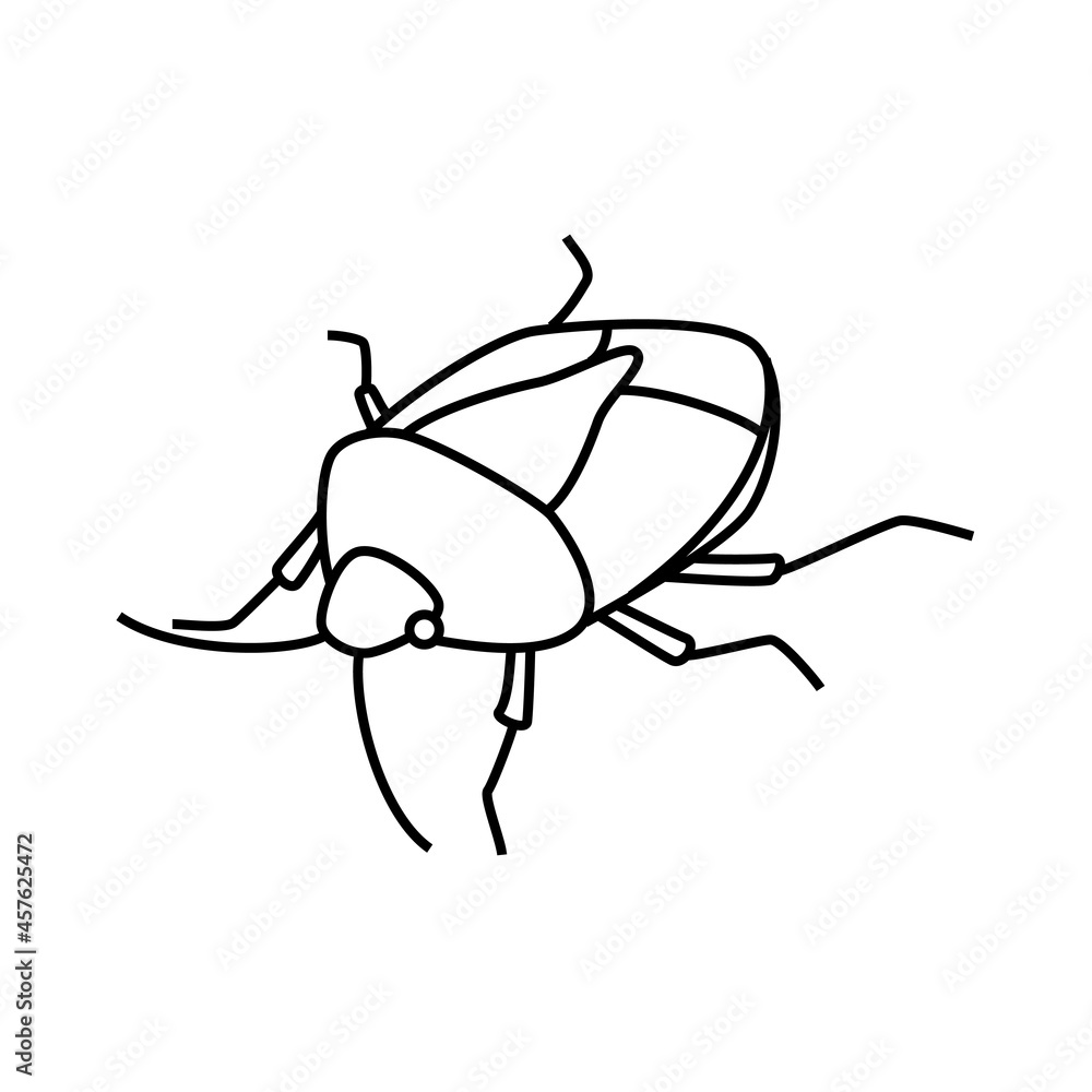 カメムシ カメムシ