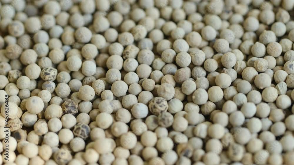 Close-up video of a slowly rotating white pepper Close-up video of a slowly rotating white pepper
