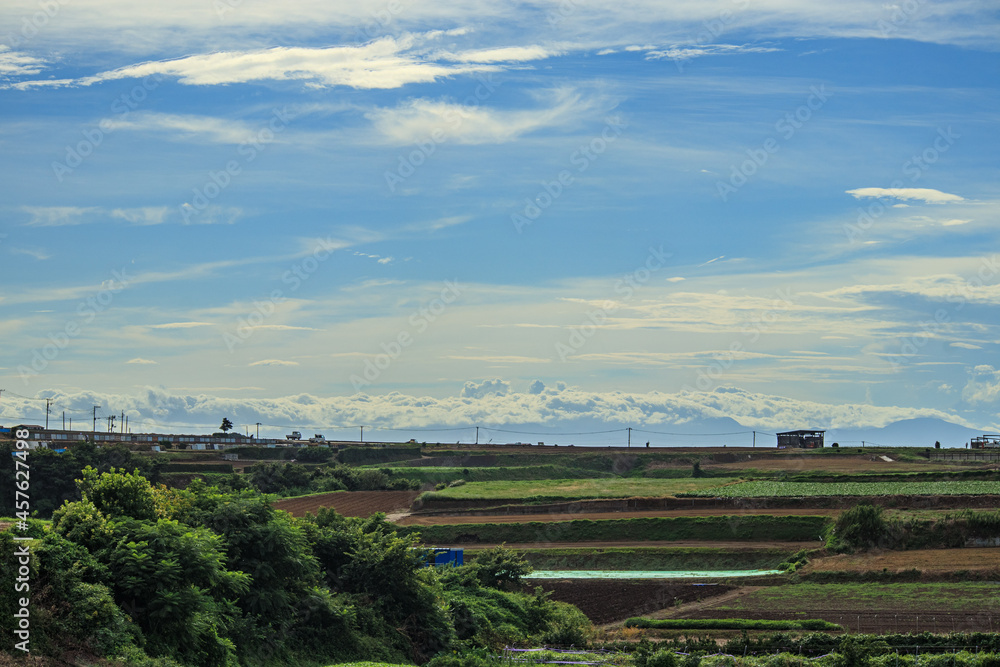 横須賀市津久井 青空と雲と農園の風景