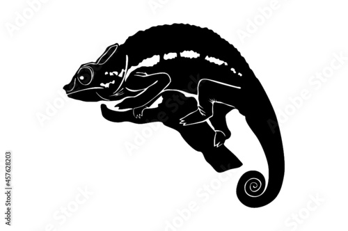 chameleon Silhouette