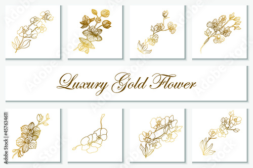 Collection luxury gold flower element line art illustration