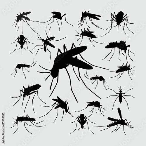 Mosquito Silhouette. A set of mosquito silhouettes © NRkz