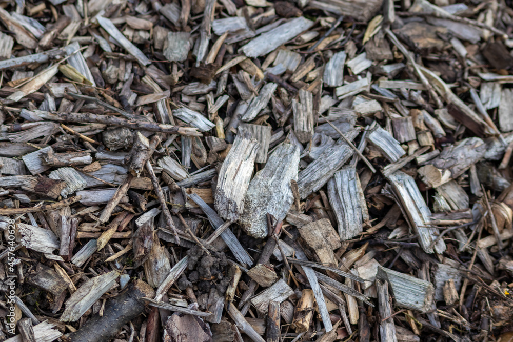 Shredded wood and wood chips after crushed recycling shows natural footpath in a forest or garden with compost or mulch from shaving of wood material as rough surface pattern with wooden fragments Shredded wood and wood chips after crushed recycling shows natural footpath in a forest or garden with compost or mulch from shaving of wood material as rough surface pattern with wooden fragments