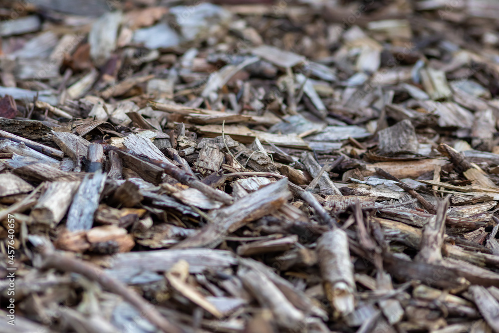 Shredded wood and wood chips after crushed recycling shows natural