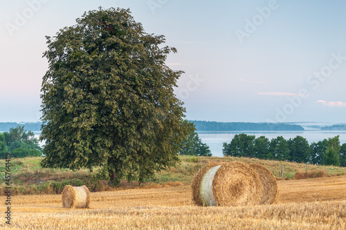 Fototapeta Naklejka Na Ścianę i Meble -  View of the Masurian fields.