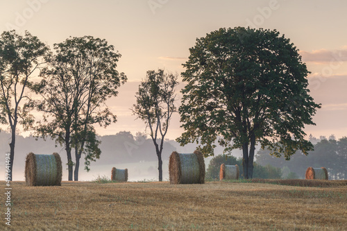 Fototapeta Naklejka Na Ścianę i Meble -  View of the Masurian fields.