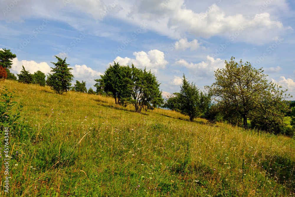 Landschaft im Naturschutzgebiet Obernhardser Kuppe gegenüber der Milseburg, Bioshärenreservat Rhön, Hessen, Deutschland