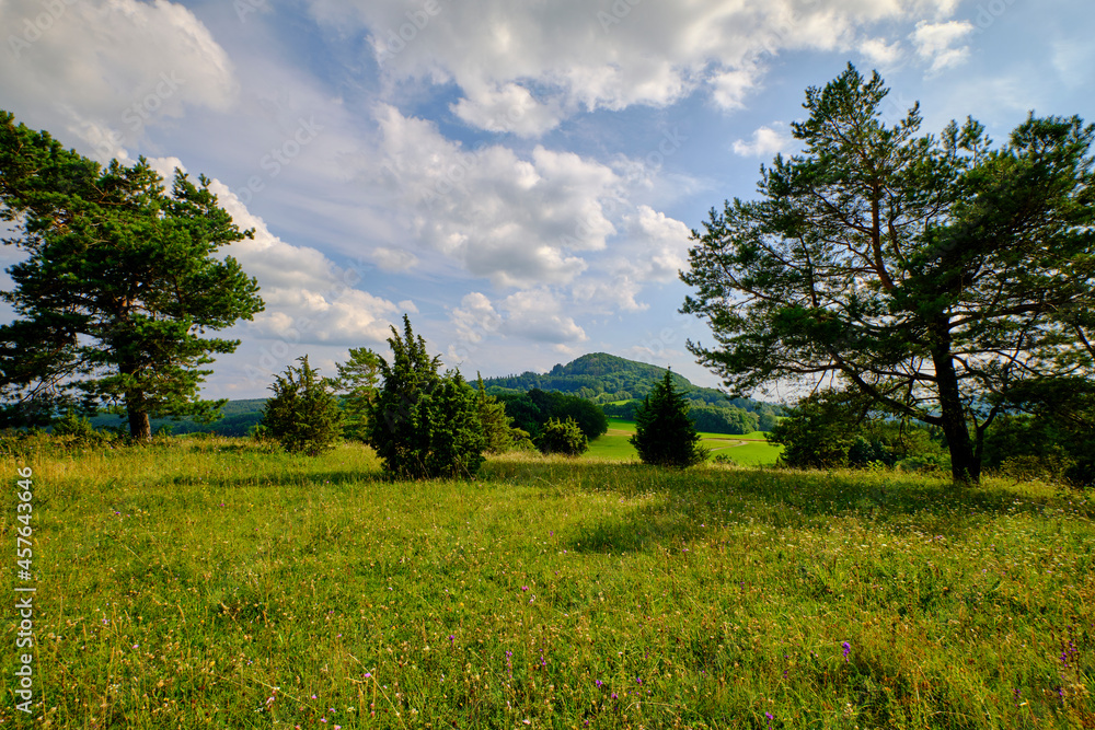 Landschaft im Naturschutzgebiet Obernhardser Kuppe gegenüber der Milseburg, Bioshärenreservat Rhön, Hessen, Deutschland