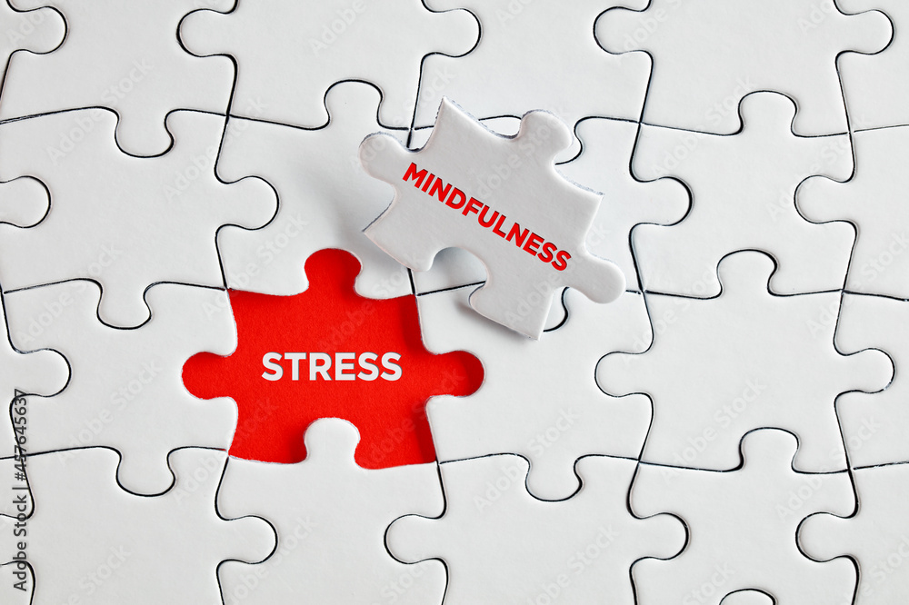 The words stress and mindfulness on missing puzzle pieces. The words stress and mindfulness on missing puzzle pieces.