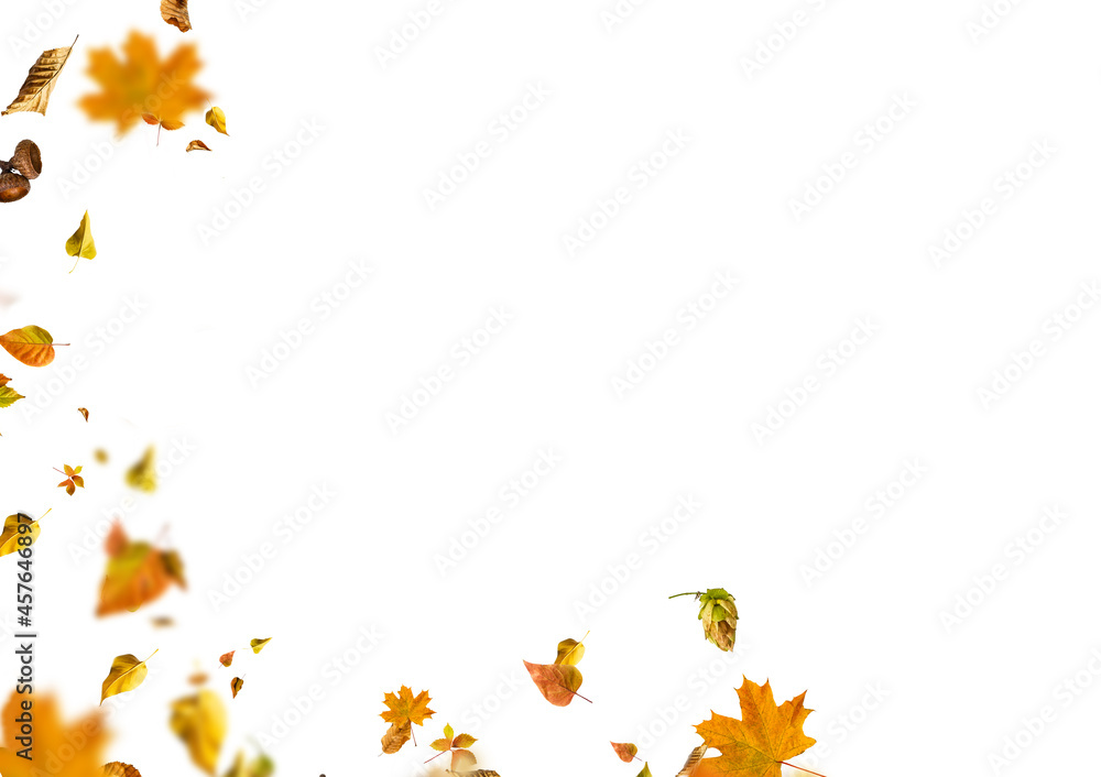 Autumn layout composition frame of dry leaves of twigs and berries on white background, Flat lay, top view, copy space, fall concept