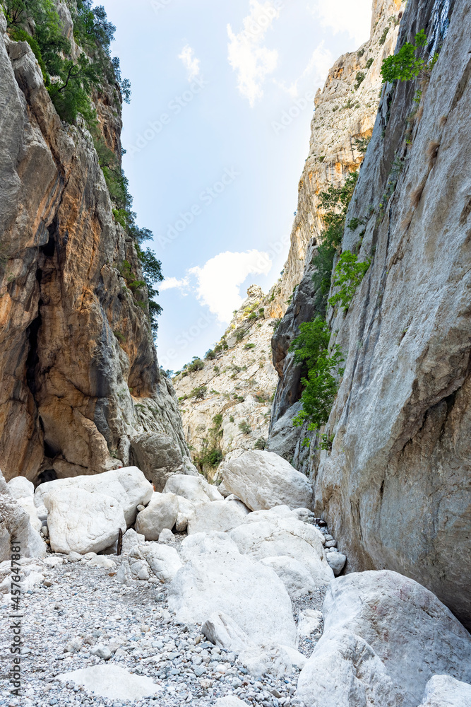 Fototapeta premium (Selective focus) Stunning view of the Gorropu gorge. Gorropu is the most spectacular and deepest canyon in Europe and it is located in the Supramonte area, Sardinia, Italy.