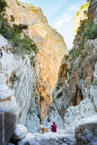 (Selective focus, focus) Stunning view of a person with a dog admiring the spectacular Gorropu gorge . Gorropu is the deepest canyon in Europe located in the Supramonte area, Sardinia, Italy. photo