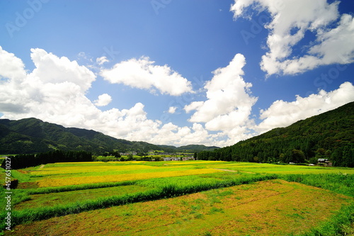 青空と白い雲のした日本の棚田が広がる