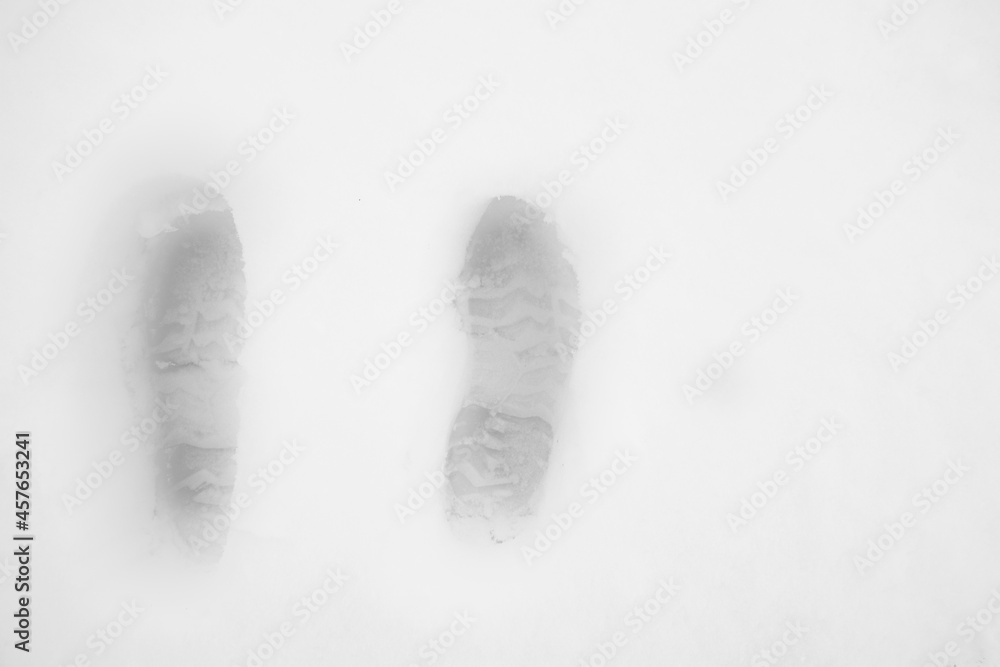 Naklejka premium Snowy landscape, snow, snowfall