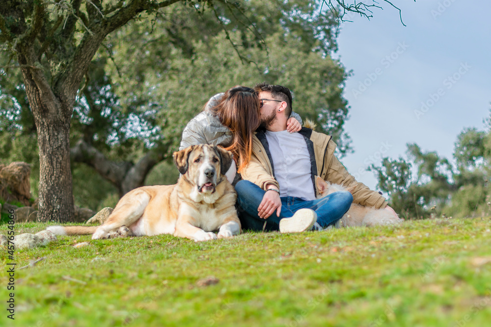 young couple next to an oak tree with two dogs
young couple next to an oak tree with two dogs