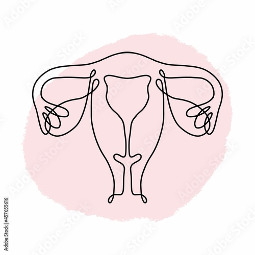 Female uterus drawn with continuous black line