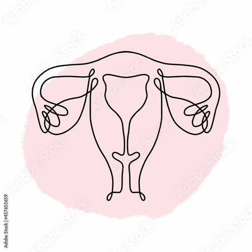 Female uterus